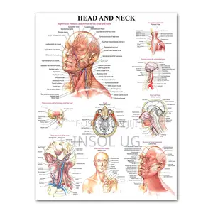 Body Joints and Ligament Charts