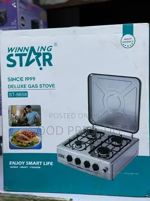Winning Star Gas Stove St-9658