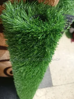 Home Grass Use Carpets