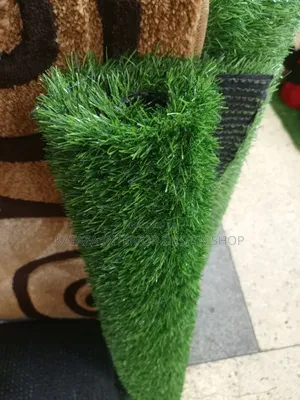 Home Grass Use Carpets