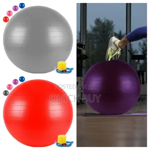Pregnancy Exercise Yoga Gym Ball