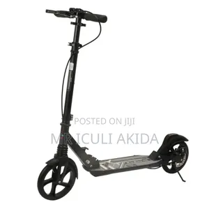 All Ages Foldable Thick Frame Urban Scooter With Brakes