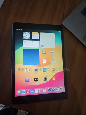 Apple iPad 10.2 (2021) 256 GB Gray