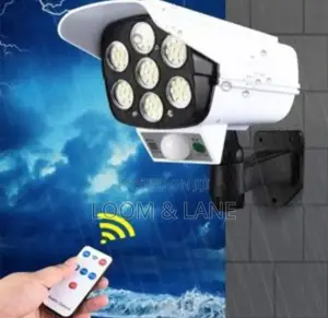 2w Solar Security Light