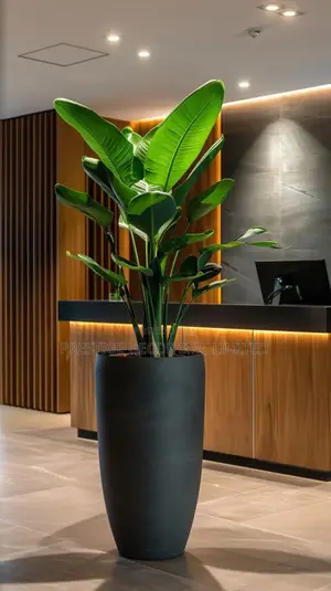 Flowers N Vases