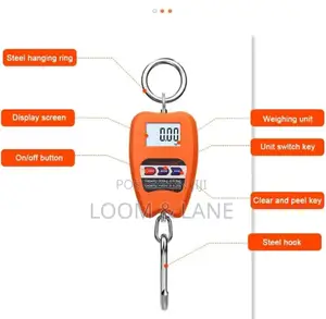 100kg High Precision Electronic Scale