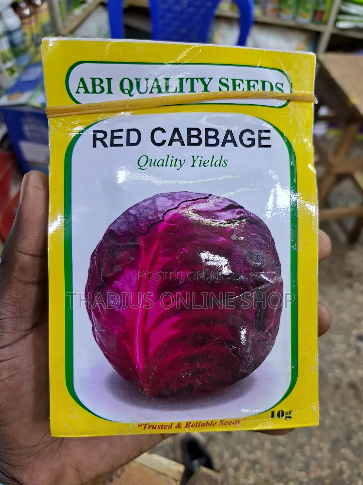 Red Cabbage Seeds