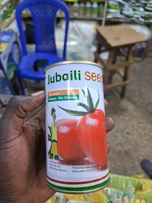 Best High Yield Tomato  Seeds