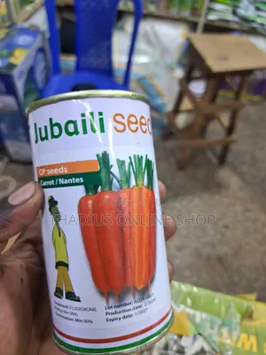 Long Large Carrot Seeds