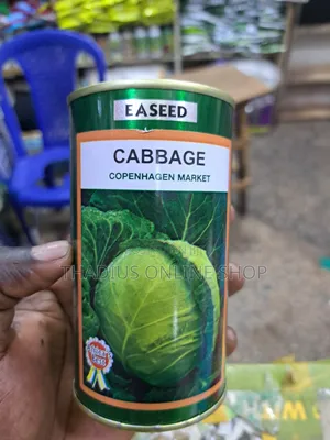 Cabbage Seeds Fast Growing