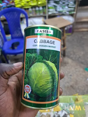 Cabbage Seeds Fast Growing