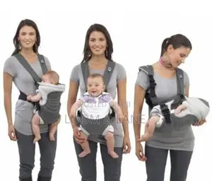 Chicco Soft and Dream Infant Carrier