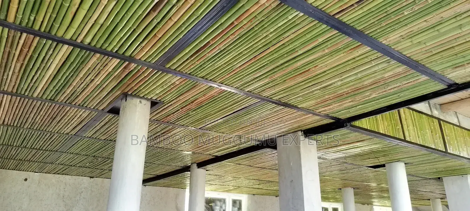 Bamboo Modern Ceiling