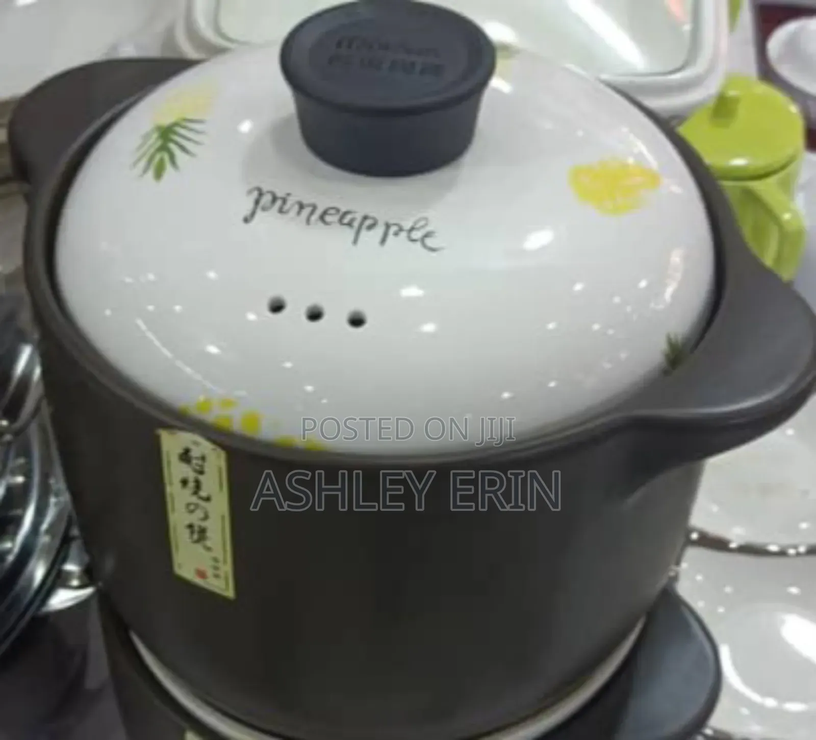 Ceramic Heat Resistant Pot 4.8l