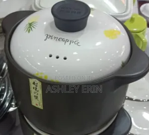 Ceramic Heat Resistant Pot 4.8l
