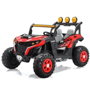 24v Double Door Remote Control Electric Car