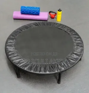 Indoor/Outdoor Children Spring Fitness Trampoline