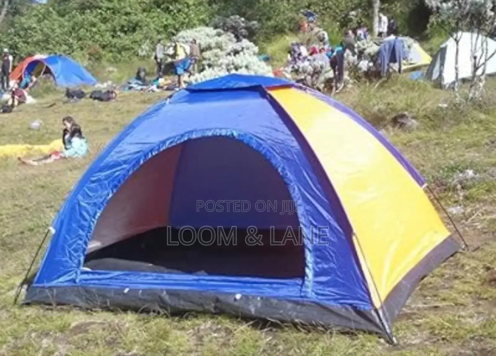 Simple Camping Tent