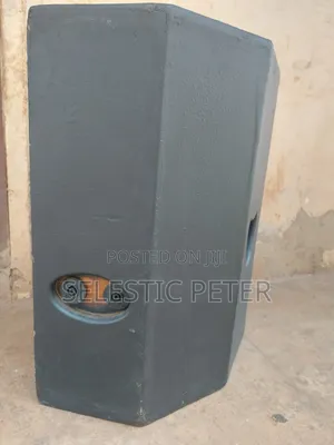 Professional Loud Speaker