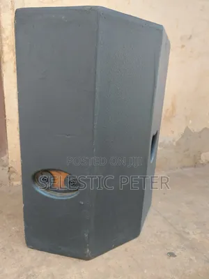Professional Loud Speaker