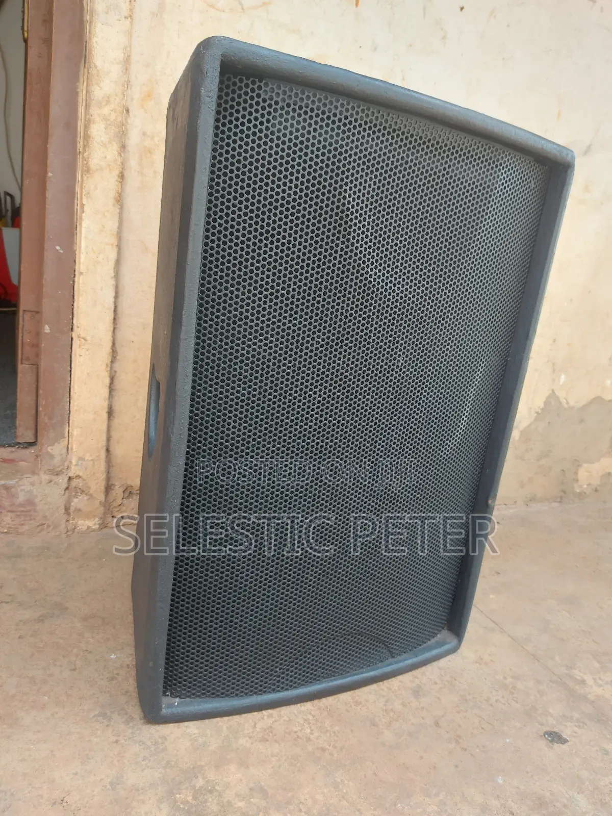 Professional Loud Speaker