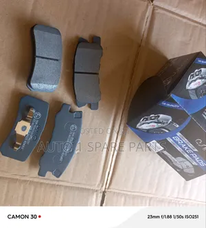 Rear Brake Pads for Papers and Outlander