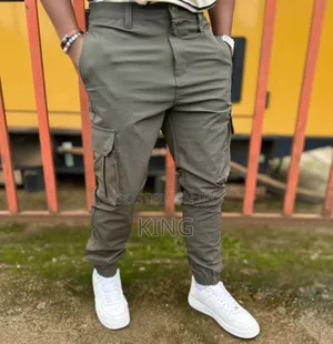 Diplomatic Cargo Pants