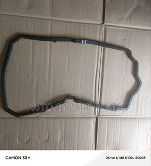 Hydraulic Oil Seal