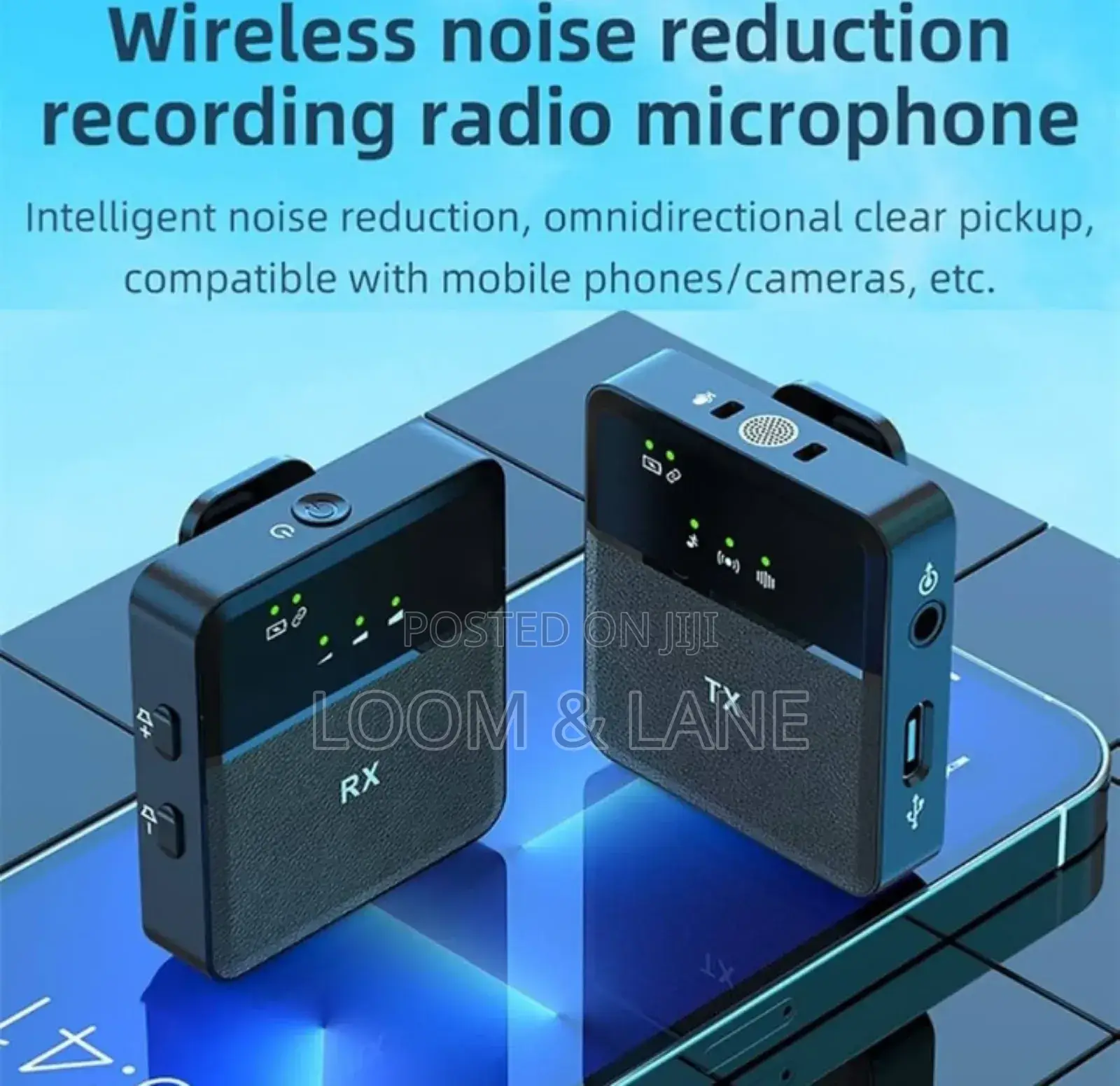 Professional Microphone Wireless Microphone System