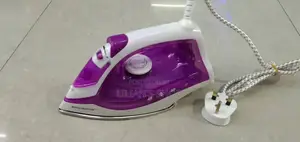Royal Master Steam Iron