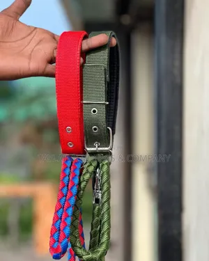 Nylon Dog Leash, Braided, Big Dog,