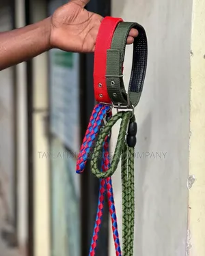 Double Dog Leash Perfect for Different Types of Dogs