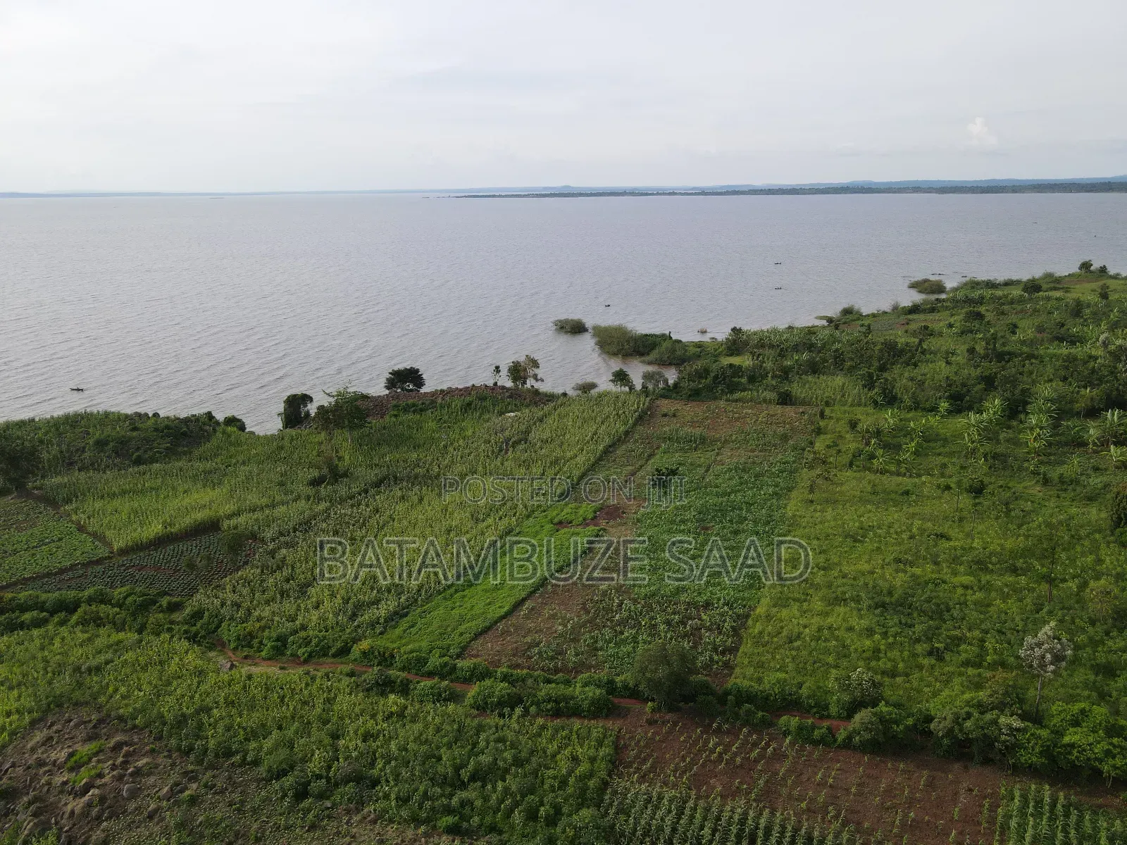 10 Square Miles for Sale