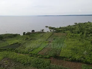 10 Square Miles for Sale