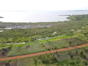 10 Square Miles for Sale