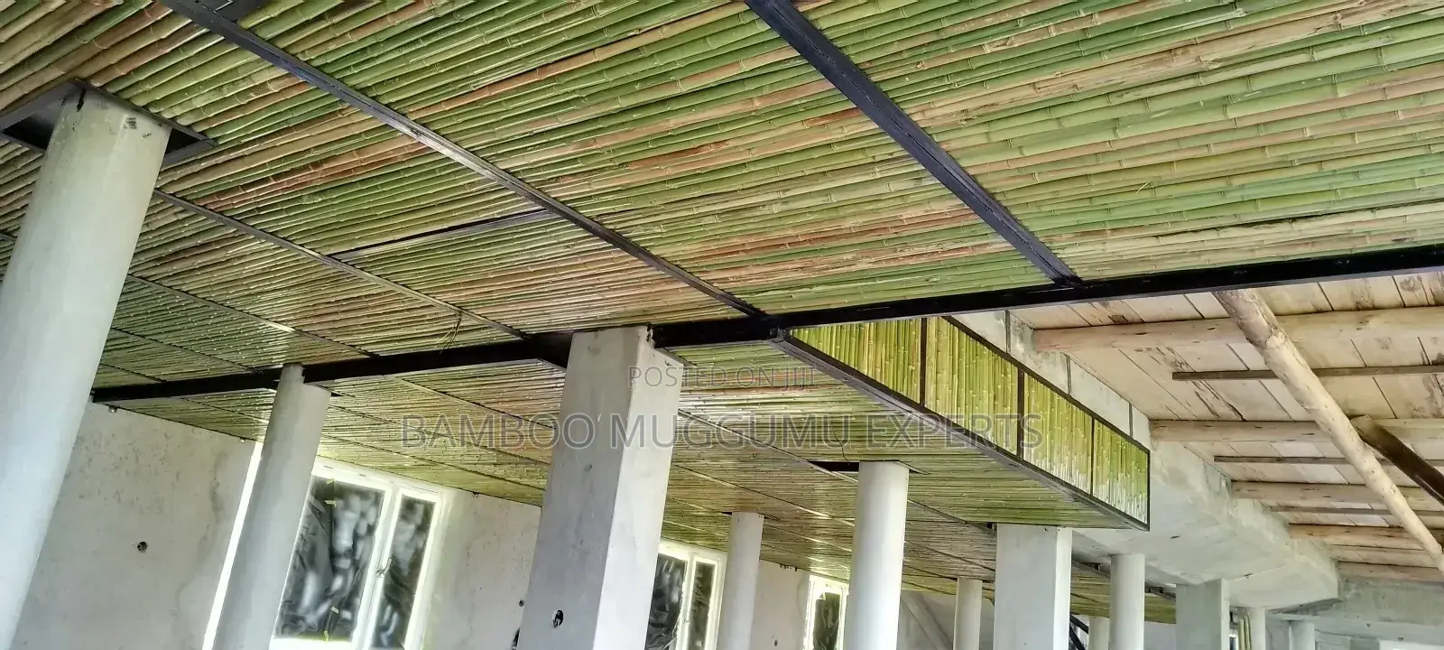 Bamboo Modern Ceiling