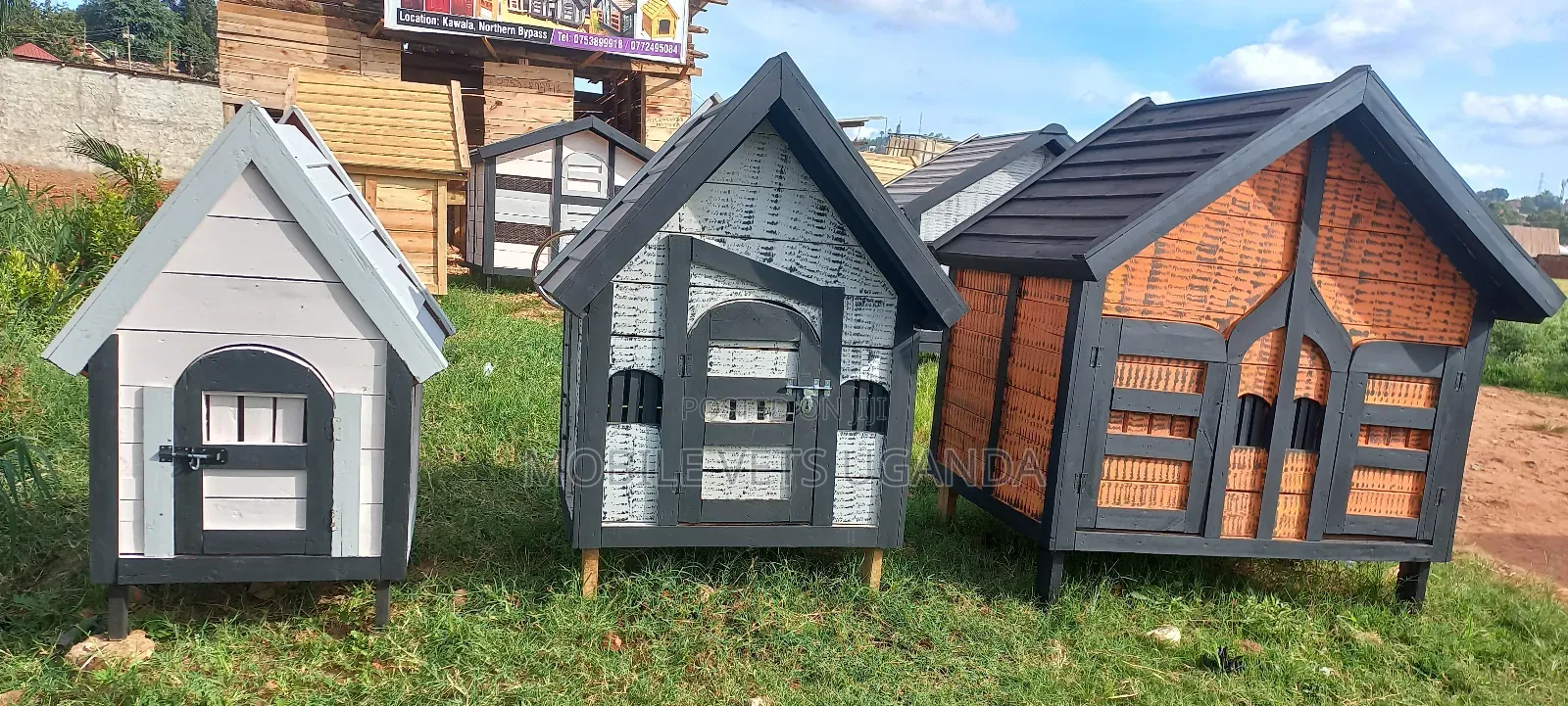Dog House and Cat