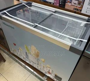 Hisense 301 Liters Display Freezer - Grey 3 Yrs Wrnty