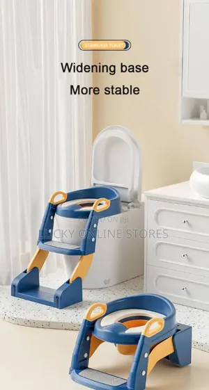 2in1 Combining Potty Seat and Toilet Ladder