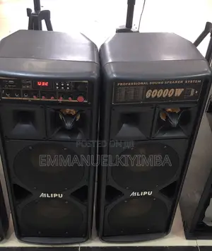 Dual Amplifieried Speakers Ailipu
