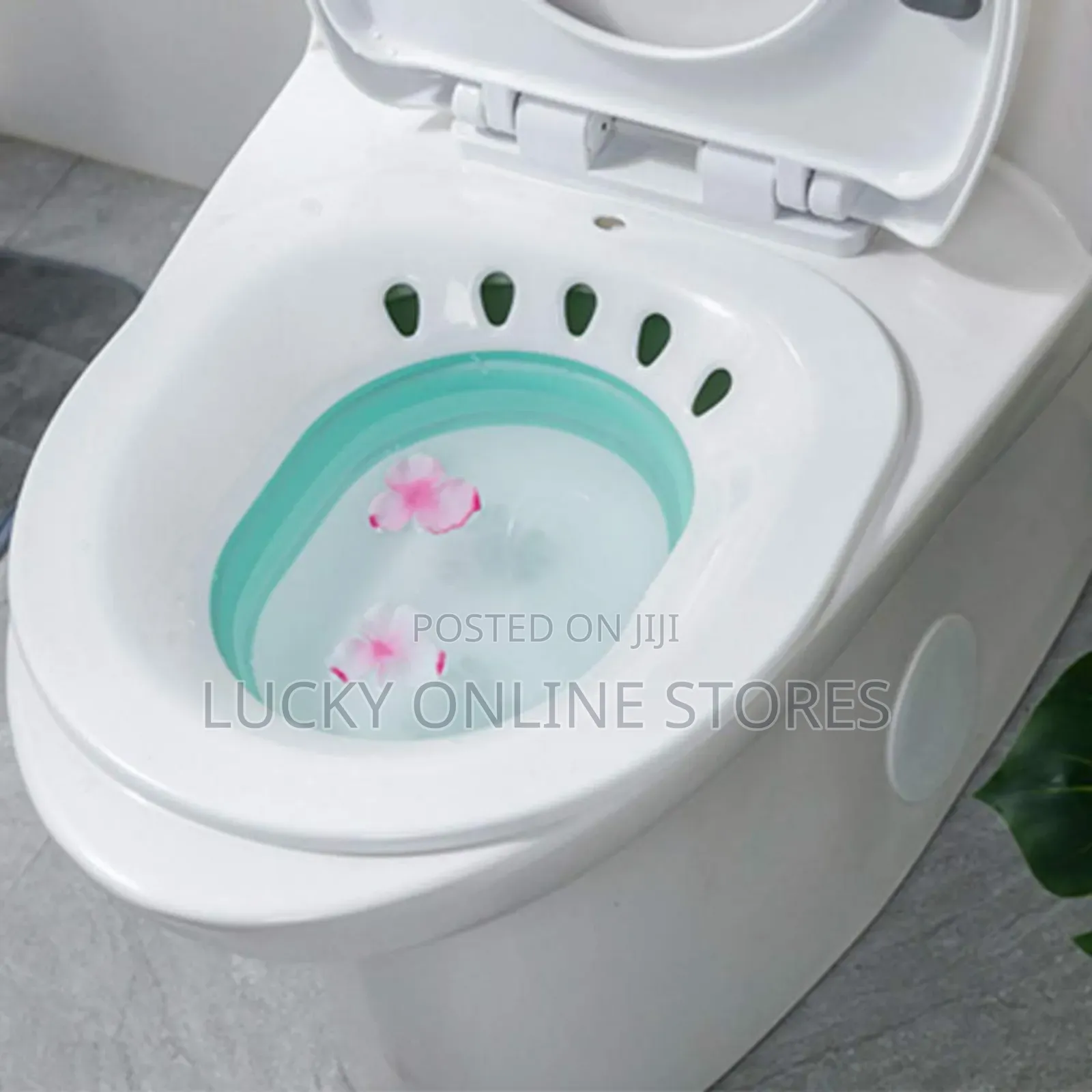 Sitz Bath Toilet With Flusher