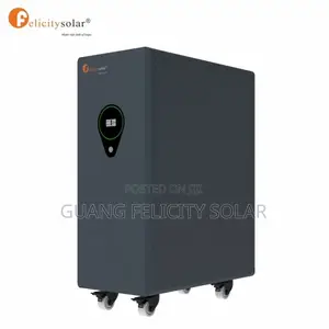 25kwh 500ah 48v Lithuim Ion Phosphate