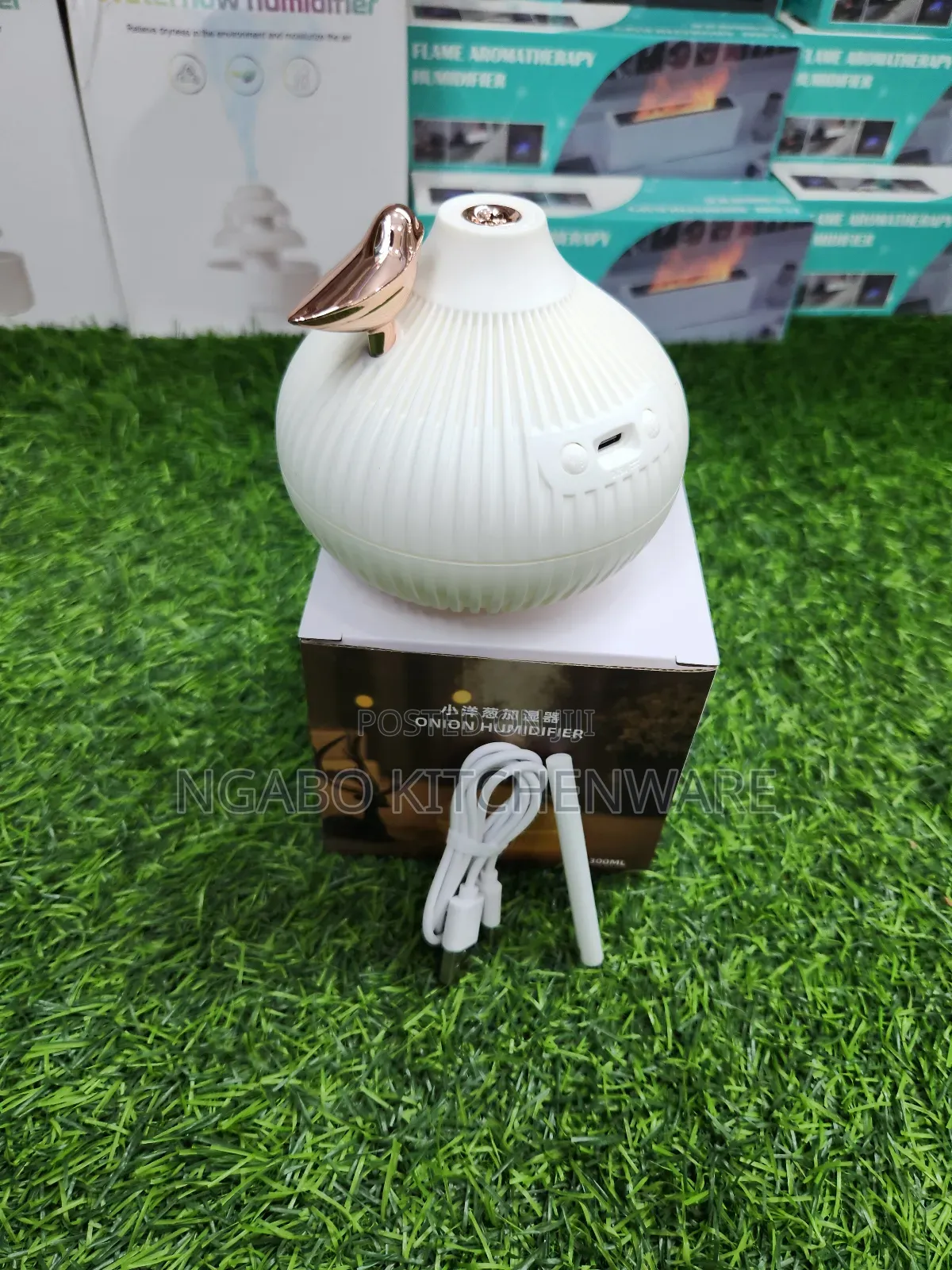Aroma and Humidifier