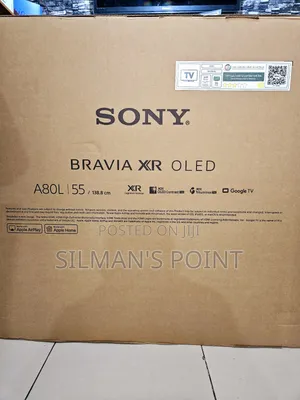 Oled 55" A80l High End Tv Latest Model