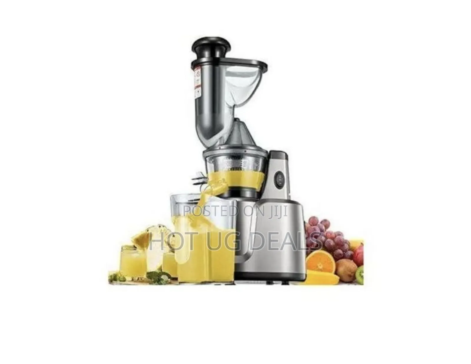 Hoffmans Slow Juicer & Juice Extractor