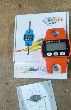 Mini Type Crane Scale