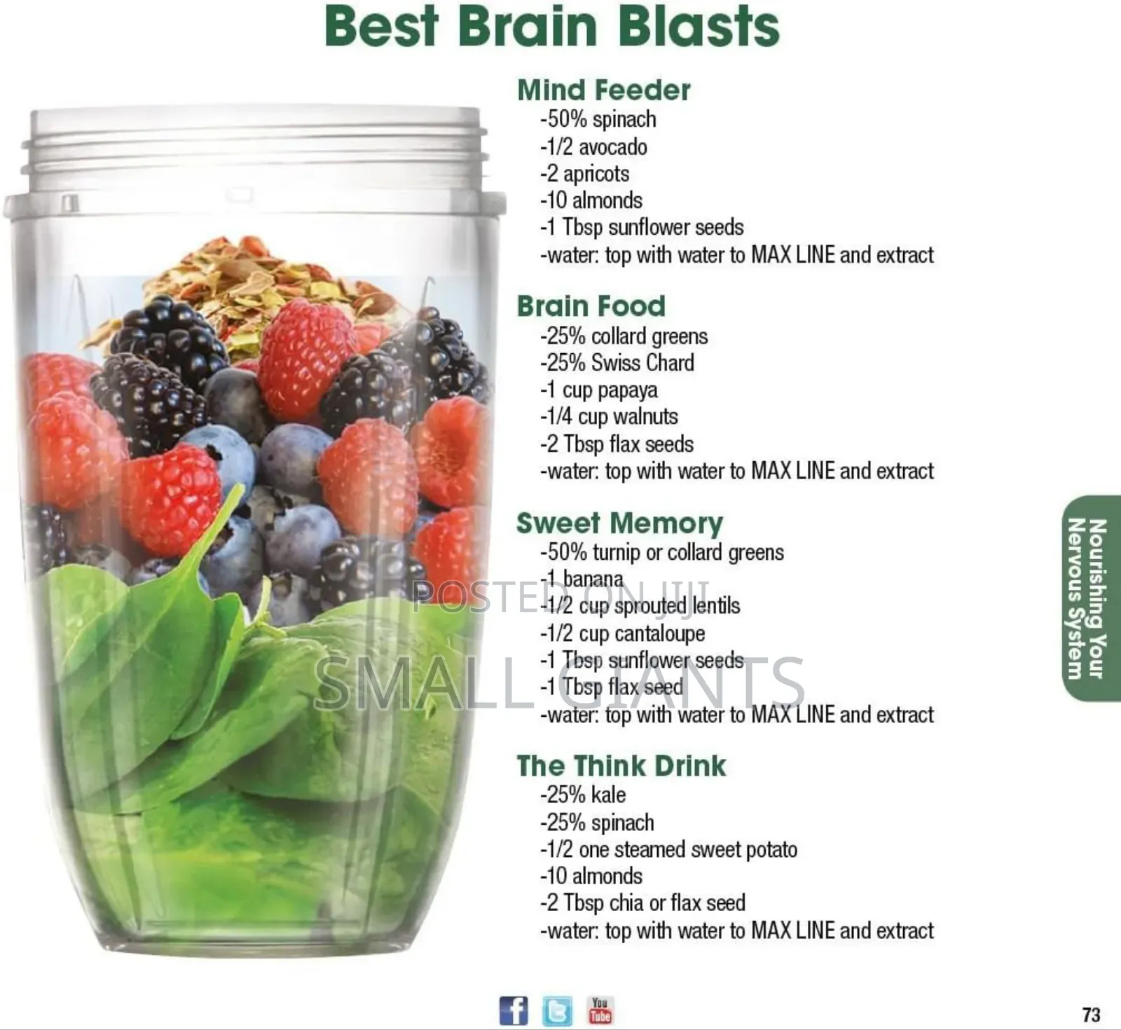 Nutribullet 12pcs 600w