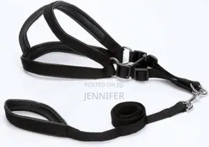 Dog Harness With Leach All Sizes