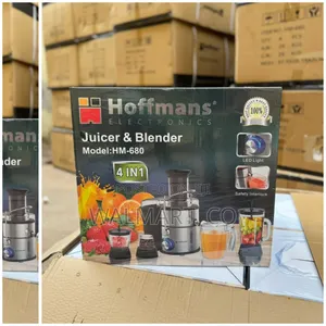 4 in 1 Electric Juicer and Blender