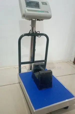 180kg Weigh Foodstaff Weighing Scale Platform Digital Weighing Scales